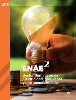 Portada Enae 2021 Suministro De Electricidad (1)