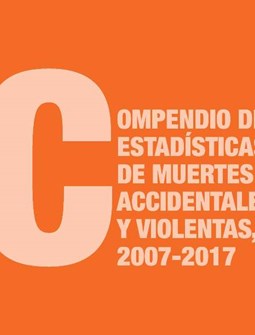 Portadacompendiodeestadísticasdemuertesaccidentalesyviolentas2007 2017
