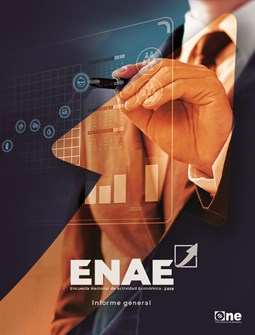 Portada Informe General Enae 2019