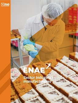 Portada Enae 2021 Industrias Manufactureras 1 (1)