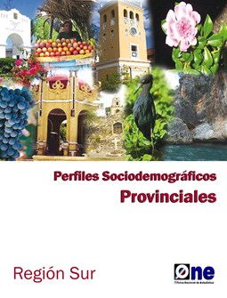 Portadainvestigaciónperfilessociodemográficosprovincialesregiónsur2010 (1) (1)