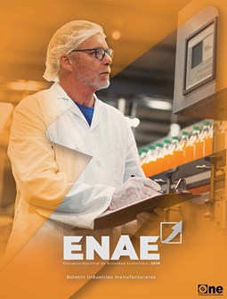 Boletin Enae Industrias Manufactureras 2019 Web